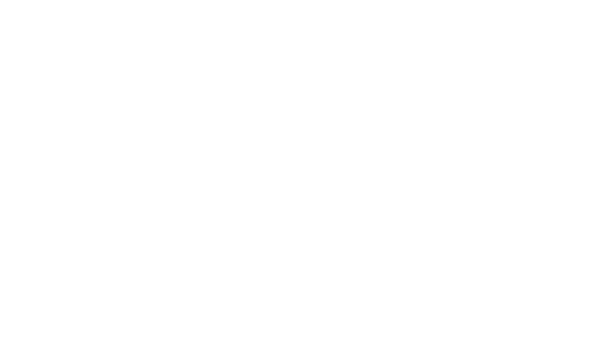 Lemonade Speedster
